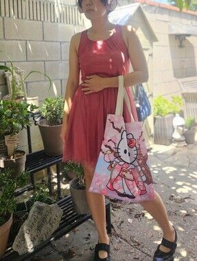 Pink Sheer Ballet Style dress by Divided